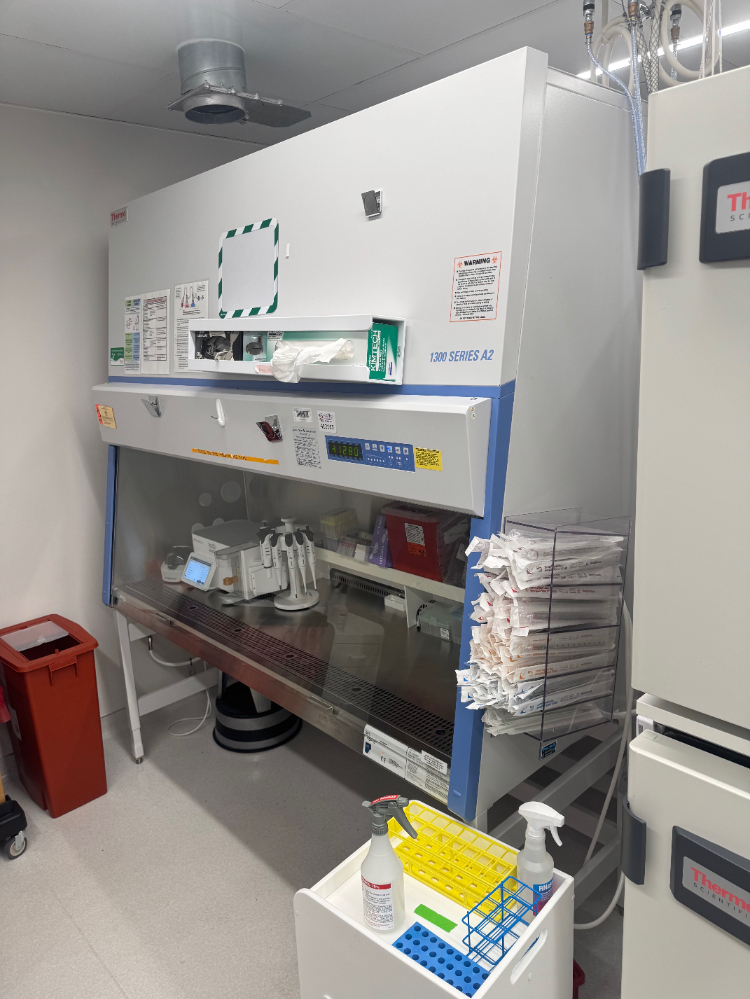 Image of Thermo 1300 Series A2 6' Biosafety Cabinet